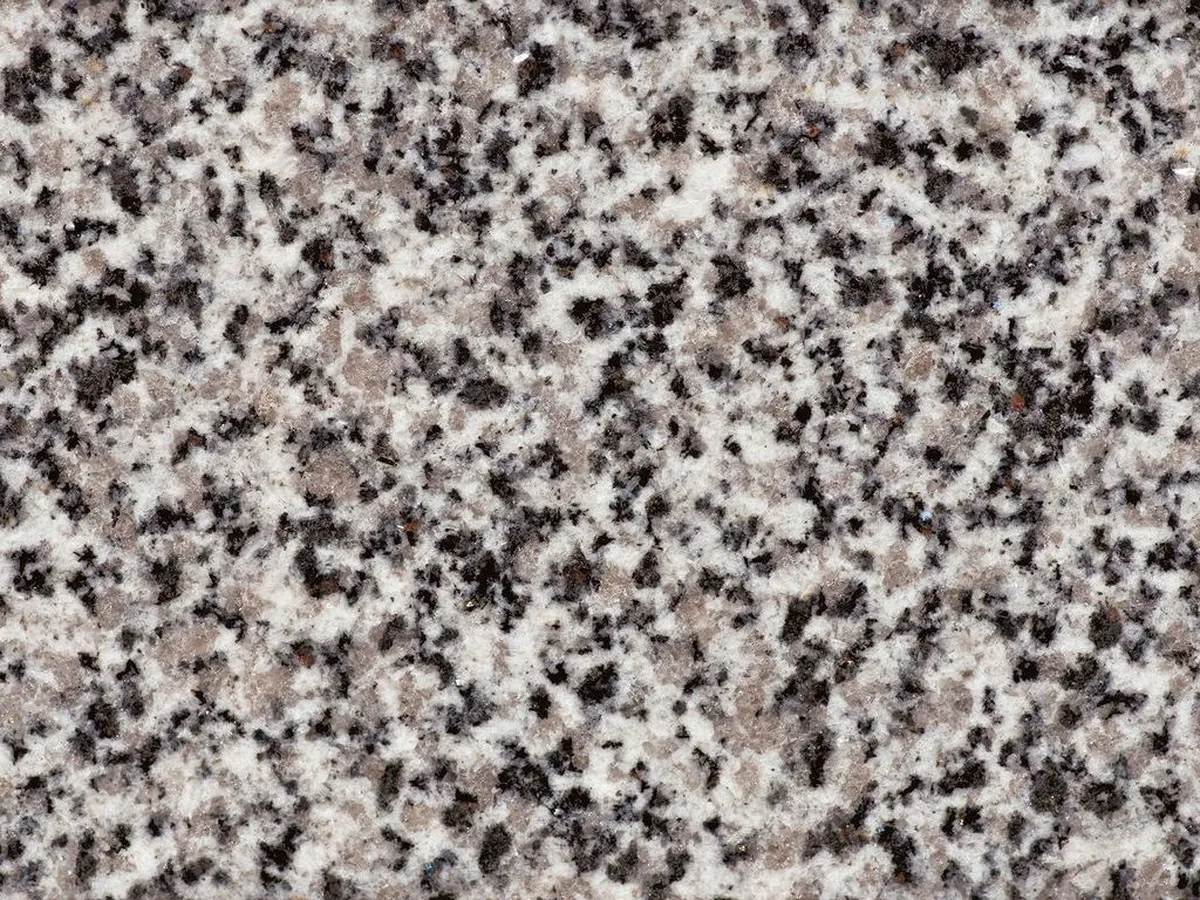 Bianco Dalmata · granito bianco · campione