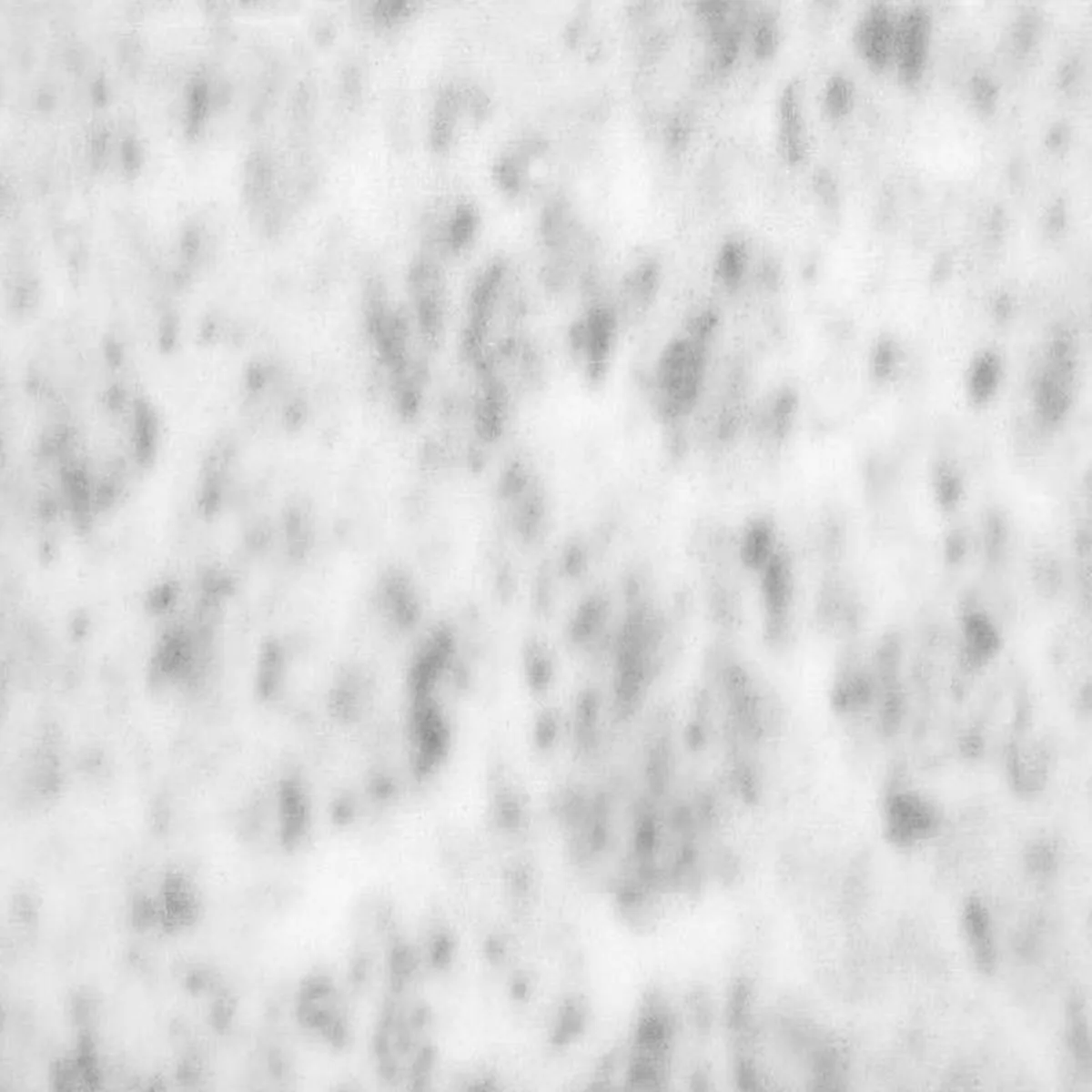 Bianco Dalmata · granito · campione · foto 2