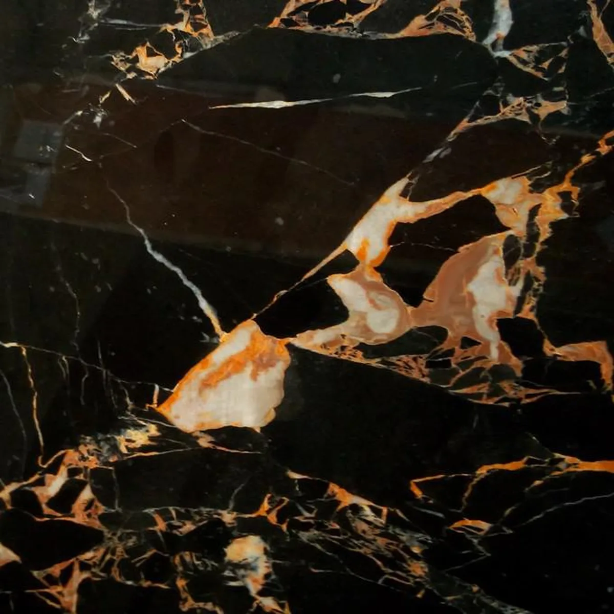 Breccia Portoro · marmo · campione