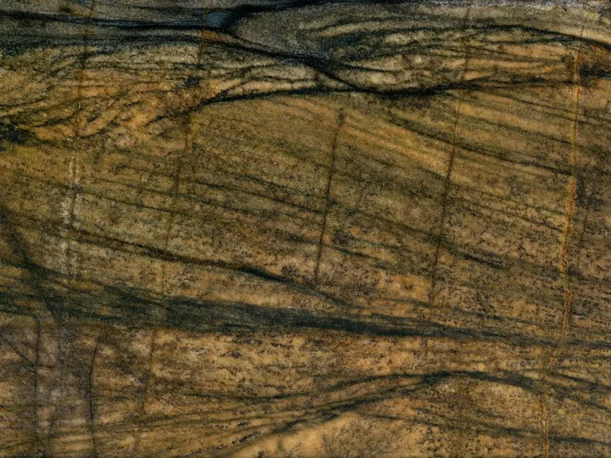 Brown Fantasy Gold · marm