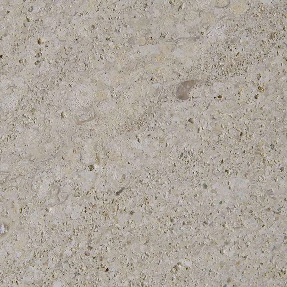 Crema Maroc · marm