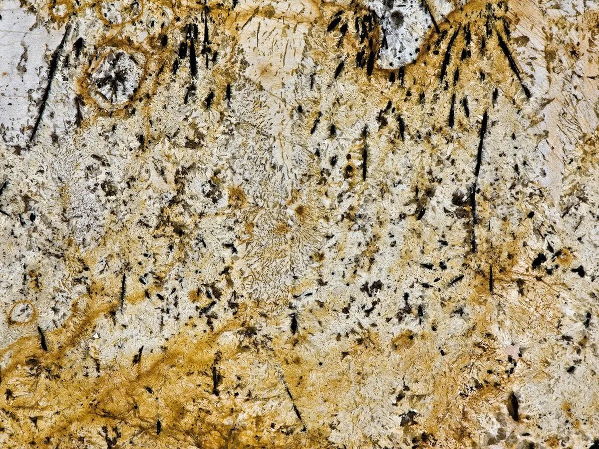 Delicatus Gold · granito giallo · campione