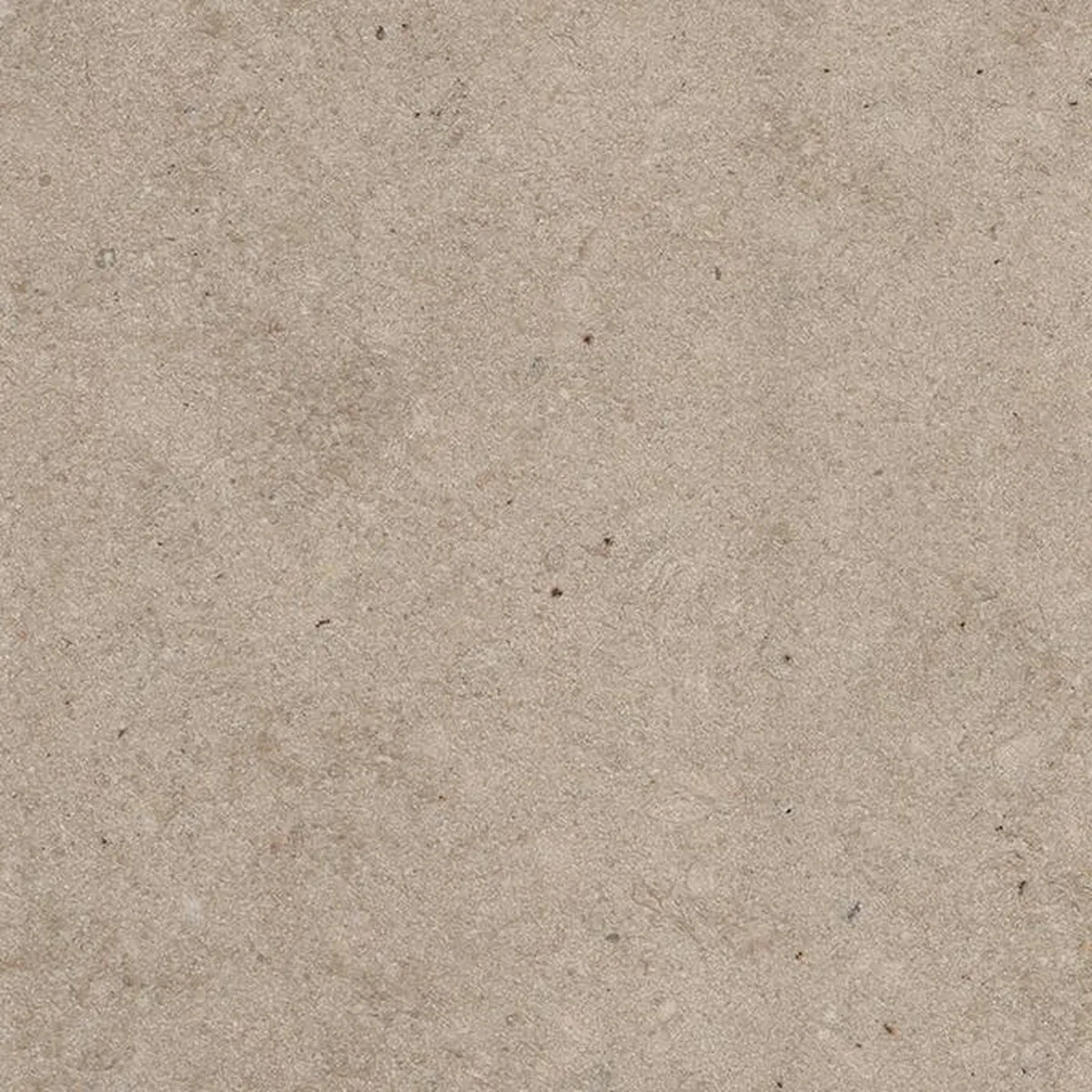 Eski Beige · marmo · campione