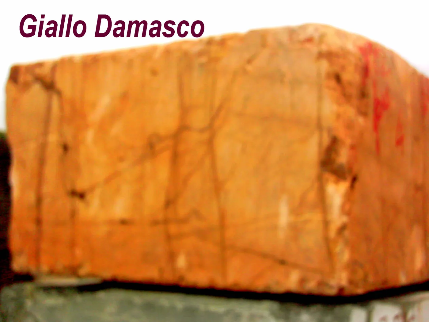 Giallo Damasco · marm