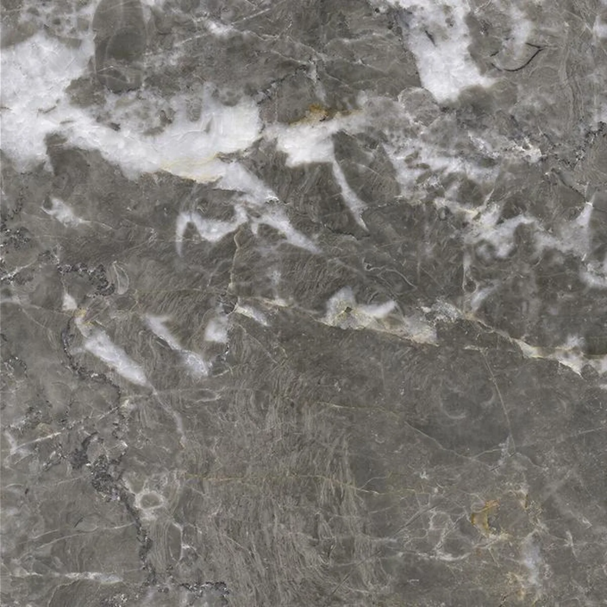 Gris Royal Des Ardennes · marmo · campione