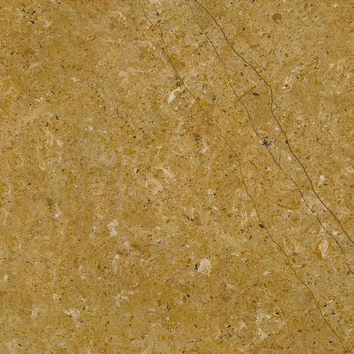 Indus Gold · marm