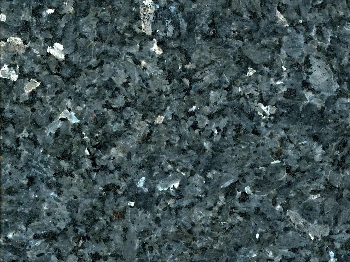 Labrador Marina Pearl · marm
