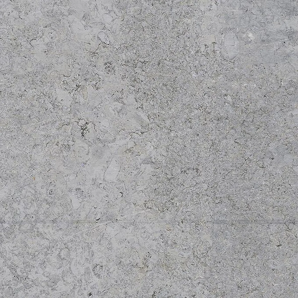 Muschelkalk Blaubank · marmo · campione