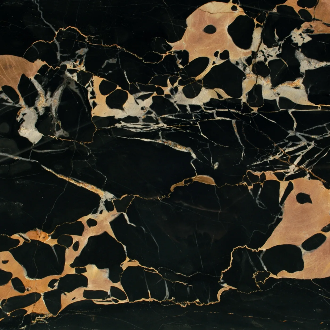 Nero Portoro · pietre