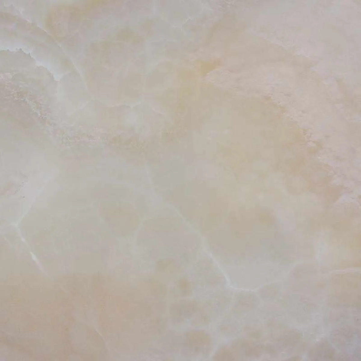Onice Miele · onic