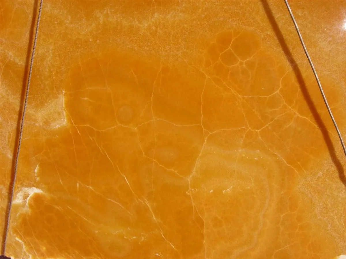 Onyx Orange 2 (Large) · onic