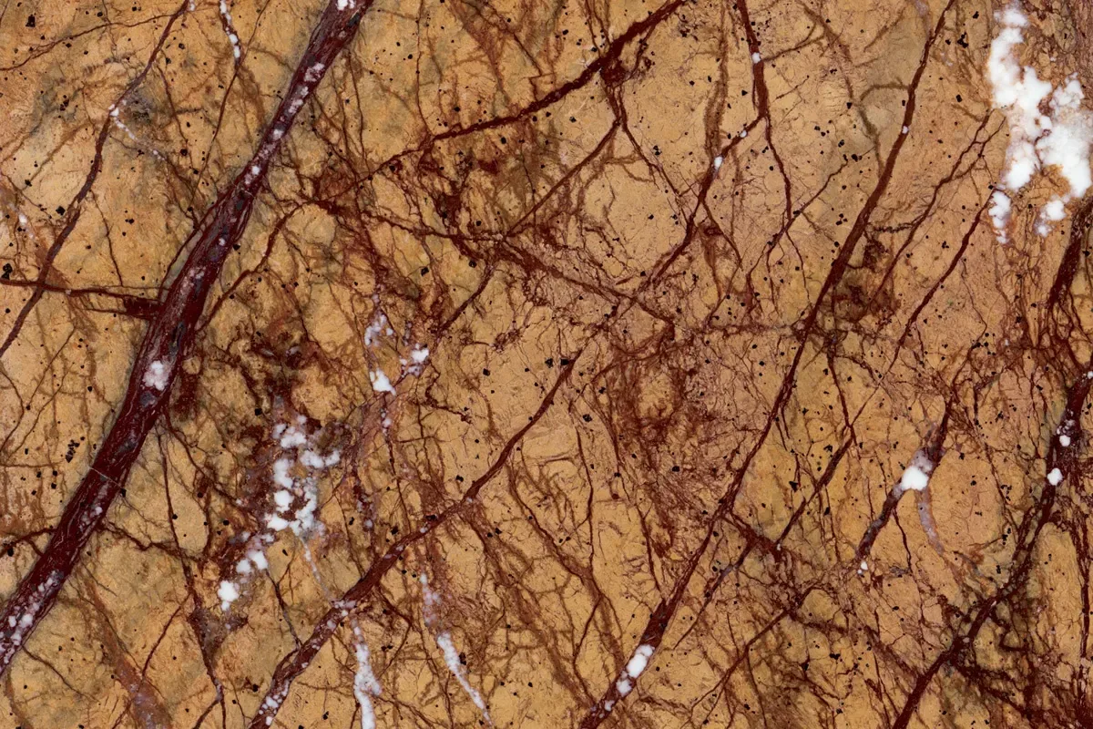 Rain Forest Gold · marm