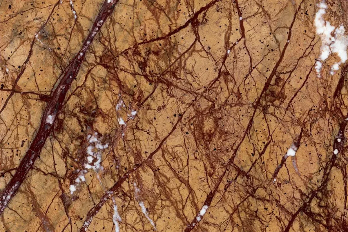 Rain Forest Gold · marmo · lastra · foto 2