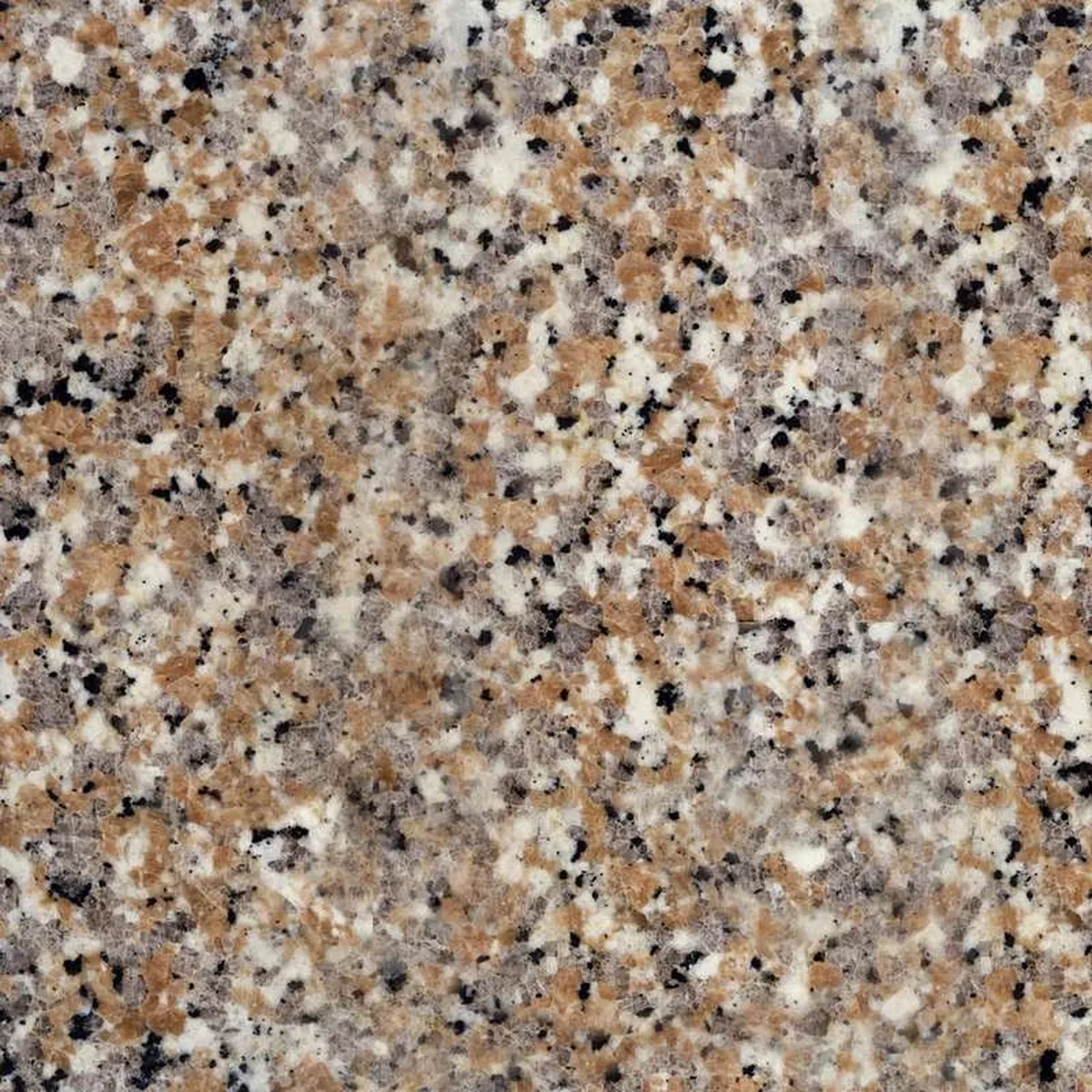 Rosa Beta · granit