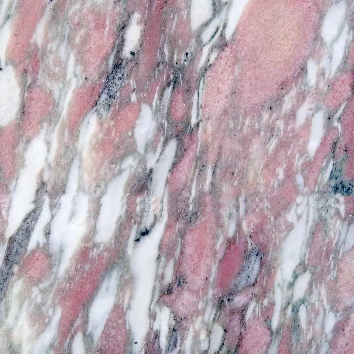 Rosa Norvegia · marmo · foto 2
