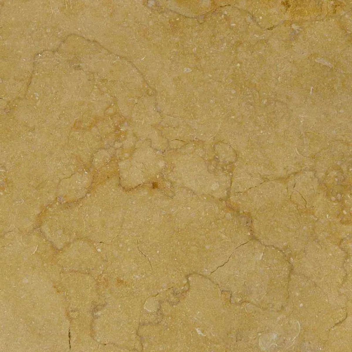 Silvia Oro Egiziano · marm